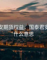 国泰君安期货权益，国泰君安期货是什么意思