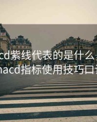 期货macd紫线代表的是什么，期货中macd指标使用技巧口诀