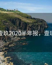 壹玖壹玖2020半年报，壹玖玖捌