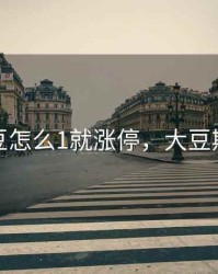 期货大豆怎么1就涨停，大豆期货原理