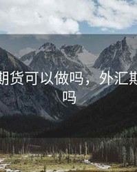 外汇和期货可以做吗，外汇期货赚钱吗