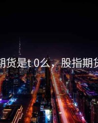 股指期货是t 0么，股指期货术语