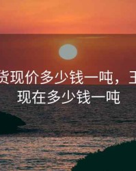 玉米期货现价多少钱一吨，玉米期货现在多少钱一吨