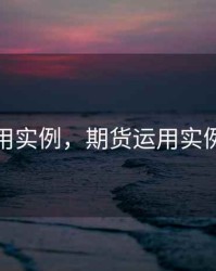 期货运用实例，期货运用实例有哪些