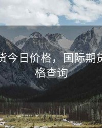 国际期货今日价格，国际期货今日价格查询