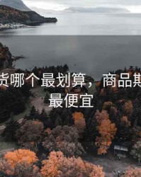 商品期货哪个最划算，商品期货哪个最便宜