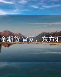 东方汇金期货 官网，东方汇金期货