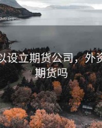 外资可以设立期货公司，外资可以买期货吗