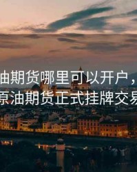 中国原油期货哪里可以开户，中国的原油期货正式挂牌交易