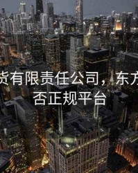 东方期货有限责任公司，东方期货是否正规平台