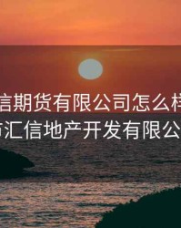 深圳汇信期货有限公司怎么样，深圳市汇信地产开发有限公司
