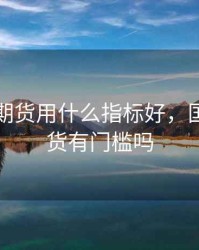 炒国内期货用什么指标好，国内炒期货有门槛吗