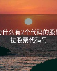 特斯拉为什么有2个代码的股票，特斯拉股票代码号