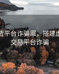 虚拟期货平台诈骗罪，搭建虚拟期货交易平台诈骗