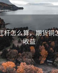 铜期货杠杆怎么算，期货铜怎么计算收益