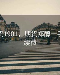 郑淳期货1901，期货郑醇一手多少手续费