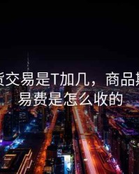 商品期货交易是T加几，商品期货的交易费是怎么收的