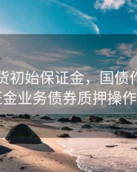 国债期货初始保证金，国债作为期货保证金业务债券质押操作指引