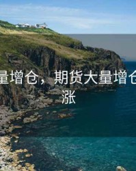 期货大量增仓，期货大量增仓价格不涨