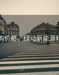 绿动申购价格，绿动新能源科技集团