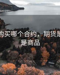 期货是购买哪个合约，期货是合约还是商品
