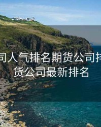 期货公司人气排名期货公司排名，期货公司最新排名