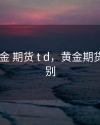 股票 黄金 期货 t d，黄金期货和td差别