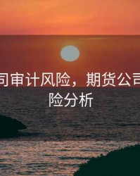 期货公司审计风险，期货公司审计风险分析