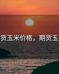 南华期货玉米价格，期货玉米2021