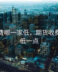 期货收费哪一家低，期货收费哪一家低一点