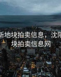 沈阳最新地块拍卖信息，沈阳最新地块拍卖信息网