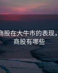 大盘劵商股在大牛市的表现，大盘券商股有哪些