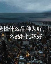 做期货选择什么品种为好，期货做什么品种比较好