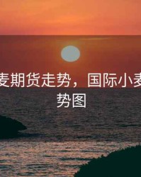 国际小麦期货走势，国际小麦期货走势图