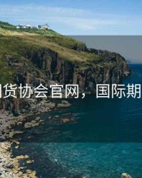 国际期货协会官网，国际期货中心