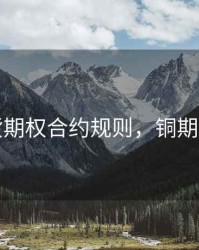 铜期货期权合约规则，铜期货合同