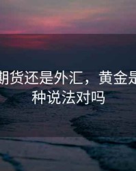 黄金是期货还是外汇，黄金是外汇这种说法对吗