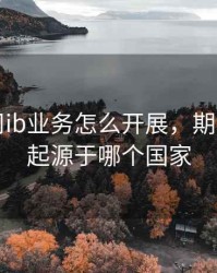 期货公司ib业务怎么开展，期货ib业务起源于哪个国家