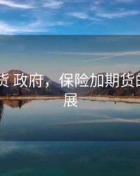 保险 期货 政府，保险加期货的未来发展