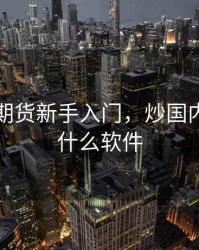 炒国内期货新手入门，炒国内期货用什么软件