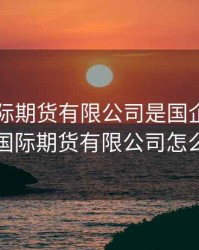 中国国际期货有限公司是国企么，中国国际期货有限公司怎么样