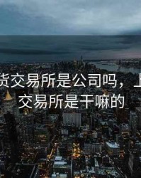 上海期货交易所是公司吗，上海期货交易所是干嘛的