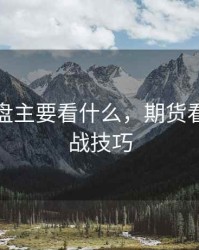 期货看盘主要看什么，期货看盘与实战技巧