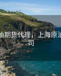 上海石油期货代理，上海原油期货公司
