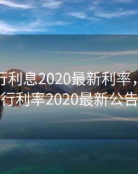 建设银行利息2020最新利率，建设银行利率2020最新公告