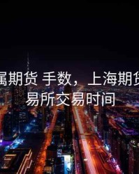 上海金属期货 手数，上海期货金属交易所交易时间