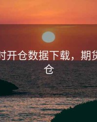 期货即时开仓数据下载，期货交易开仓