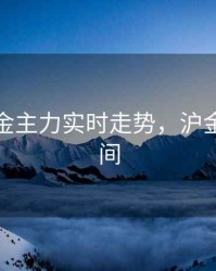 期货沪金主力实时走势，沪金期货时间