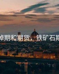 铁矿石掉期和期货，铁矿石期货规律