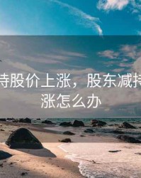 股东减持股价上涨，股东减持股价上涨怎么办